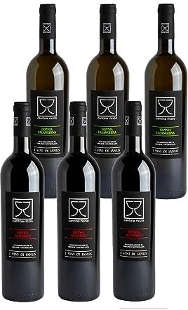 Cantina Riccio 6 bottiglie da 750 ml: 3 x Falanghina Doc Irpinia + 3 x Aglianico Doc Irpinia  I Vini di Janus 2x 0,75 litri