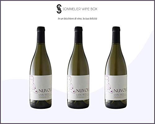 Sommelier Wine Box LE NUVOLE   Cantina Antonelli Marco   Annata 2019