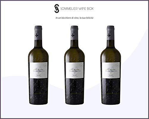 Sommelier Wine Box GARNACHA BLANCA Particular   Cantina Vins Noe Sl   Annata 2019