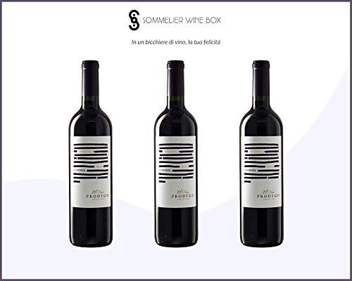 Sommelier Wine Box BONARDA Seleccion de Medrano Prodigo   Cantina El Hijo Prodigo   Annata 2018