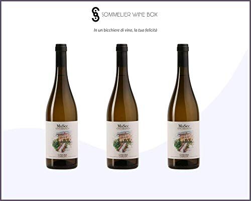 Sommelier Wine Box MOSEC Moscato Bianco Canelli   Cantina Cascina Carlòt Claudio Mo   Annata 2019