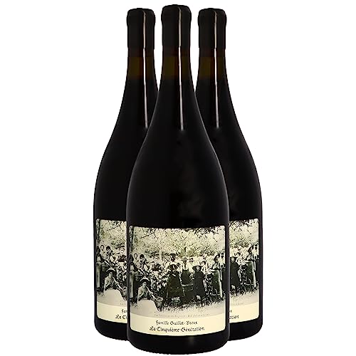 Generico Mâcon 5G rosso 2021 Organico Domaine Guillot-Broux DOP Borgogna Francia Vitigni Gamay 3x75cl