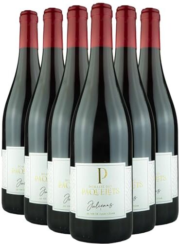 Generico Juliénas Tradition rosso 2020 Domaine des Paquelets DOP Beaujolais Francia Vitigni Gamay 6x75cl