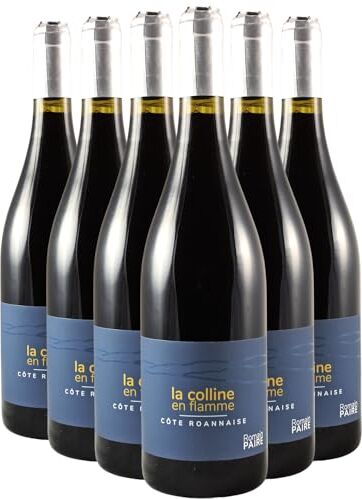 Generico Côte Roannaise Colline en Flamme rosso 2023 Organico Domaine des Pothiers DOP Valle della Loira Francia Vitigni Gamay 12x75cl