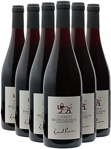 Generico Côteaux Bourguignons rosso 2020 Lionel Carron DOP Borgogna Francia Vitigni Gamay 6x75cl