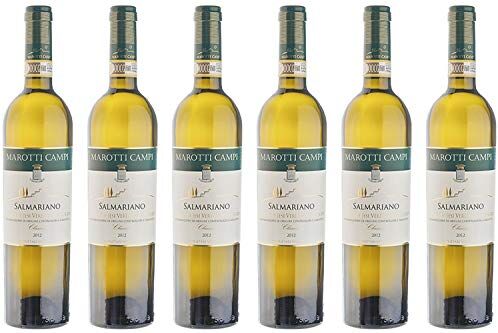 Marotti Campi Verdicchio dei Castelli di Jesi Riserva 2019 Salmariano  6 bott. x 0,75 L