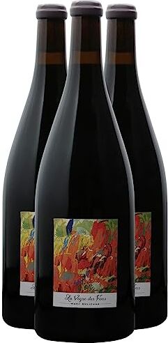 Generico Fleurie La Vigne des Fous Magnum rosso 2018 Organico Marc Delienne DOP Beaujolais Francia Vitigni Gamay 3x150cl