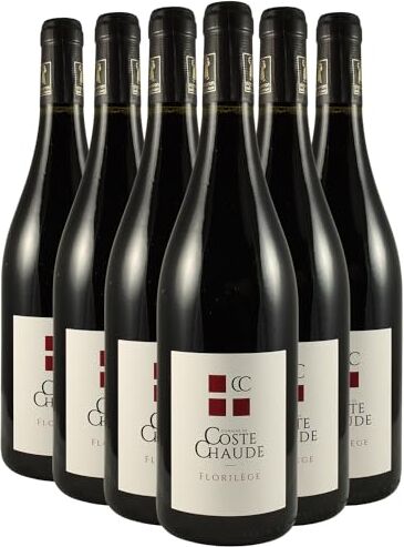 Generico Côtes du Rhône Villages Visan Florilège rosso 2019 Organico Domaine de Coste Chaude DOP Valle del Rodano Francia Vitigni Grenache,Syrah 6x75cl