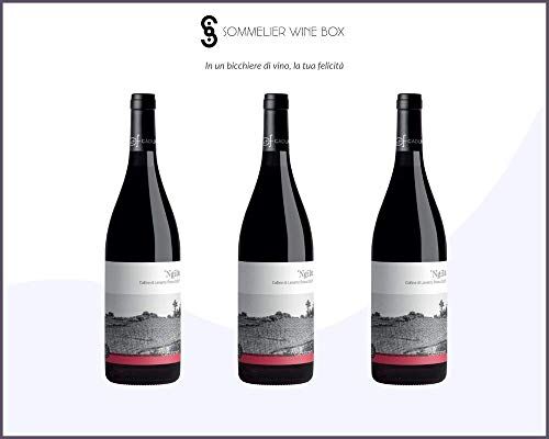 Sommelier Wine Box NGILù Colline di Levanto Rosso   Cantina Ca' Du Ferra'   Annata 2019