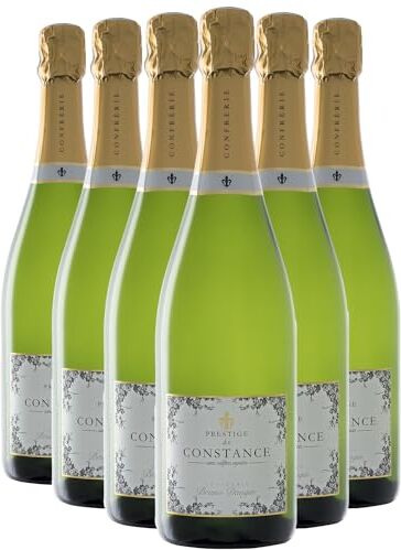 Generico Crémant de Bourgogne Prestige de Constance Extra-Brut bianco 2020 Organico Bruno Dangin DOP Borgogna Francia Vitigni Pinot Noir 12x75cl