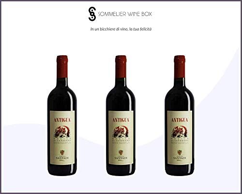 Sommelier Wine Box MONICA DI SARDEGNA Antigua   Cantina Santadi   Annata 2019