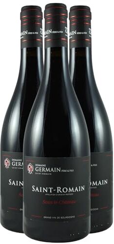 Generico Saint-Romain Sous le Château rosso 2021 Domaine Germain Père et Fils DOP Borgogna Francia Vitigni Pinot Noir 3x75cl