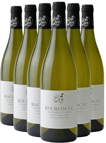 Generico Bourgogne Coulanges-la-Vineuse bianco 2022 Domaine Bon et Fils DOP Borgogna Francia Vitigni Chardonnay 6x75cl