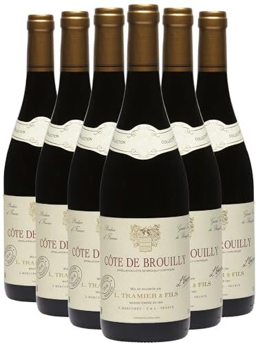 Generico Côte de Brouilly rosso 2021 Maison Tramier DOP Beaujolais Francia Vitigni Gamay 12x75cl