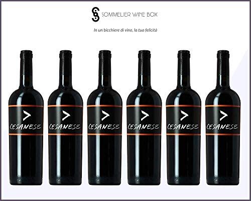 Sommelier Wine Box CESANESE >   Cantina L'olivella   Annata 2016