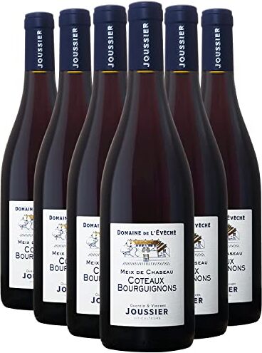 Generico Côteaux Bourguignons Meix de Chaseau rosso 2022 Domaine de l'Évêché DOP Borgogna Francia Vitigni Gamay,Pinot Noir 6x75cl