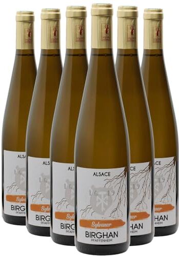 Generico Alsace Sylvaner bianco 2020 Organico Birghan DOP Alsazia Francia Vitigni Sylvaner 6x75cl