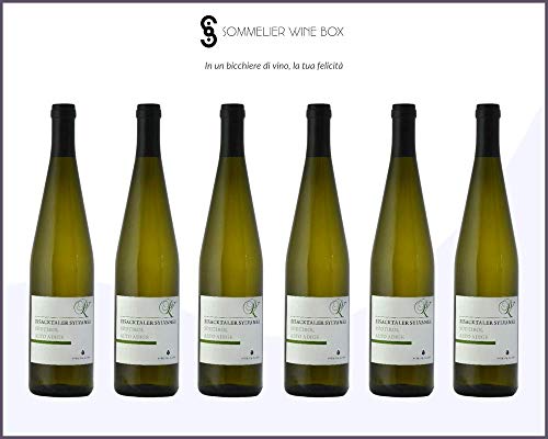 Sommelier Wine Box SYLVANER VALLE ISARCO   Cantina Tenuta Rottensteiner   Annata 2019