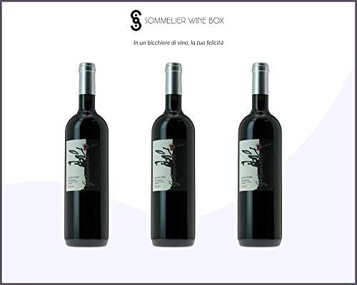 Sommelier Wine Box Gelsonero LACRYMA CHRISTI ROSSO   Cantina Villa Dora   Annata 2015