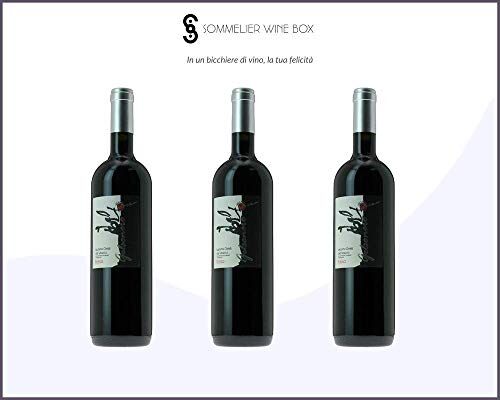 Sommelier Wine Box Villa Dora LACRYMA CHRISTI ROSSO   Cantina Villa Dora   Annata 2017