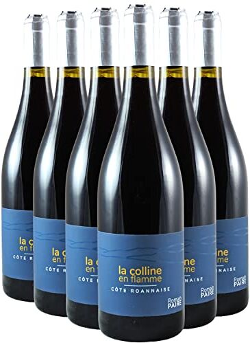 Generico Côte Roannaise Colline en Flamme rosso 2021 Organico Domaine des Pothiers DOP Valle della Loira Francia Vitigni Gamay 6x75cl