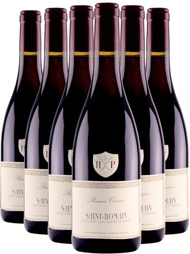 Generico Saint-Romain rosso 2020 Maison Henri Pion DOP Borgogna Francia Vitigni Pinot Noir 6x75cl