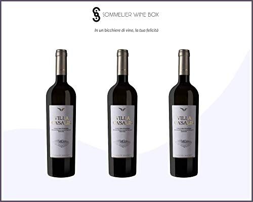 Sommelier Wine Box RIBONA COLLI MACERATESI Villa Casalis   Cantina Casalis Douhet   Annata 2019