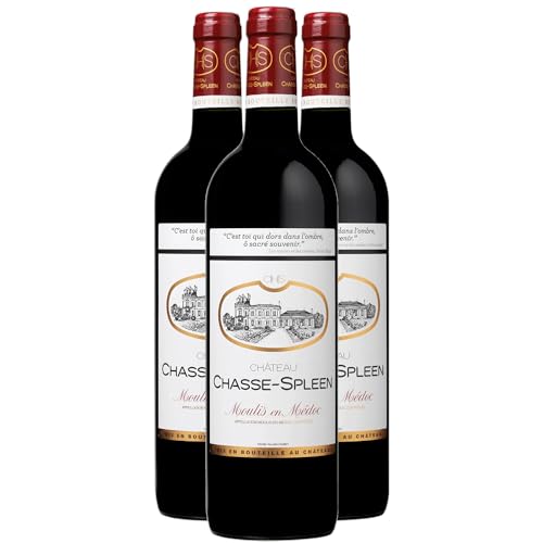 Generico Château Chasse Spleen rosso 2019 DOP Moulis-en-Médoc Bordeaux Francia Vitigni Cabernet Sauvignon,Merlot,Petit Verdot 3x75cl 92+/100 Robert Parker