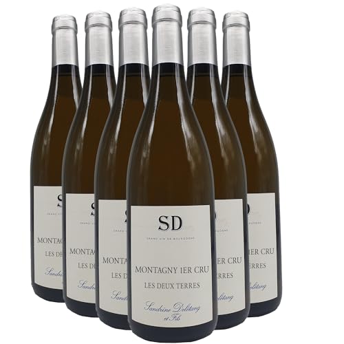 Generico Montagny 1er Cru Les Deux Terres bianco 2021 Sandrine Delétang et Fils DOP Borgogna Francia Vitigni Chardonnay 6x75cl