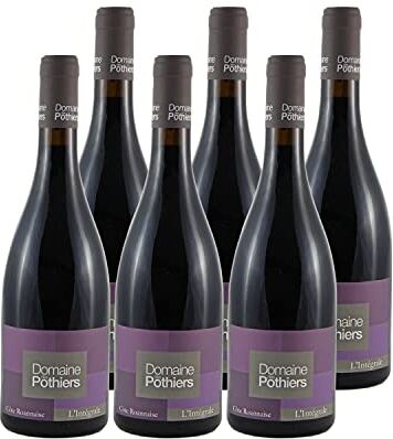 Generico Côte Roannaise L'Intégrale rosso 2013 Organico Domaine des Pothiers DOP Valle della Loira Francia Vitigni Gamay 6x75cl