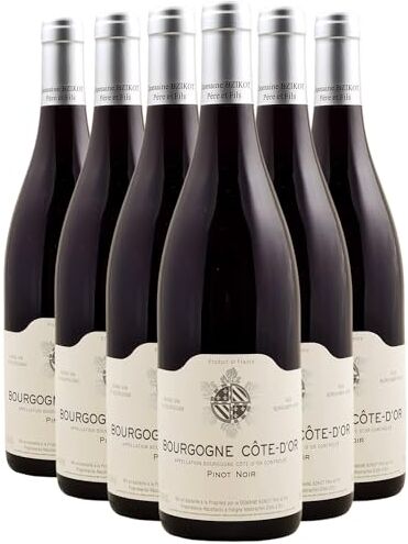 Generico Bourgogne Côte-d'Or rosso 2022 Domaine Bzikot DOP Borgogna Francia Vitigni Pinot Noir 6x75cl