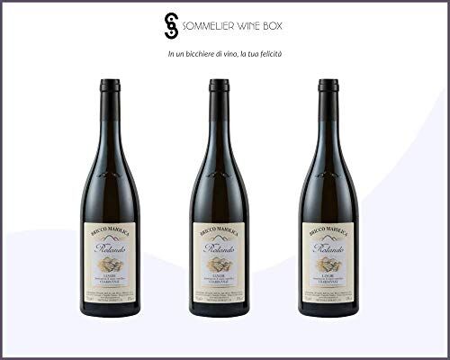 Sommelier Wine Box CHARDONNAY LANGHE Rolando   Cantina Bricco Maiolica   Annata 2019