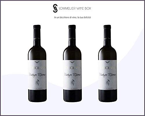 Sommelier Wine Box RIBONA COLLI MACERATESI Vintage Coriolano   Cantina Casalis Douhet   Annata 2018