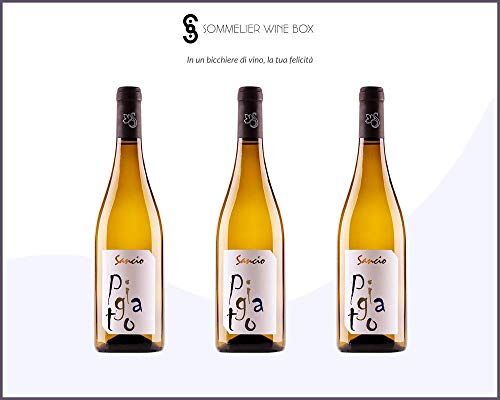 Sommelier Wine Box PIGATO RIVIERA LIGURE PONENTE   Cantina Sancio   Annata 2019