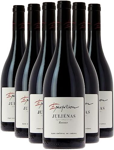 Generico Juliénas Exception Envaux rosso 2021 Cave du Château de Chenas DOP Beaujolais Francia Vitigni Gamay 12x75cl