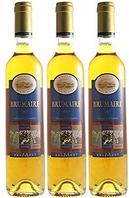 Generico Château Bouscassé Pacherenc du Vic-Bilh Cuvée Brumaire bianco 2007 DOP Sud-ovest della Francia Francia Vitigni Petit Manseng 3x50cl