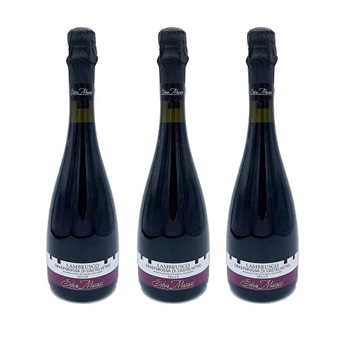 Selva Masacci Tris Tre Bottiglie di  Lambrusco Grasparossa Di Castelvetro Vino Rosso DOC Frizzante Secco 11% vol 750mlx3