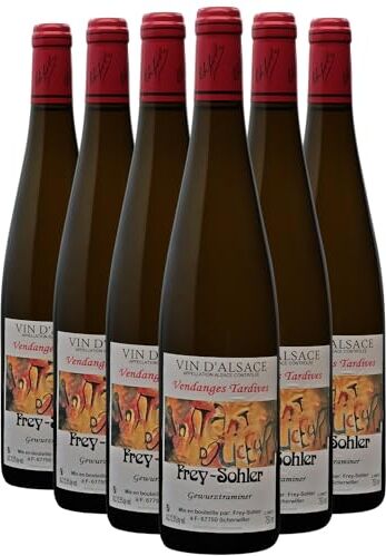 Generico Alsace Vendanges Tardives Gewurztraminer bianco 2020 Frey-Sohler DOP Alsazia Francia Vitigni Gewurztraminer 6x75cl