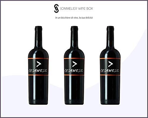 Sommelier Wine Box CESANESE >   Cantina L'olivella   Annata 2016
