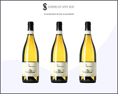 Sommelier Wine Box FRASCATI SUPERIORE Racemo Bianco   Cantina L'olivella   Annata 2019