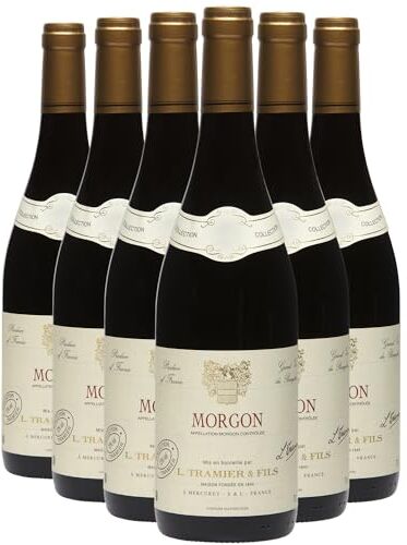 Generico Morgon rosso 2022 Maison Tramier DOP Beaujolais Francia Vitigni Gamay 12x75cl