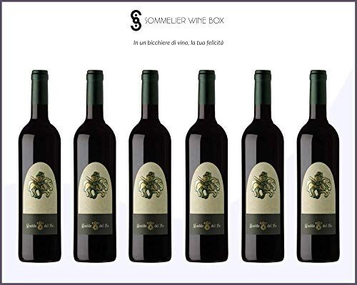 Sommelier Wine Box SANGIOVESE SUVERETO Gualdo del Re   Cantina Gualdo Del Re   Annata 2013