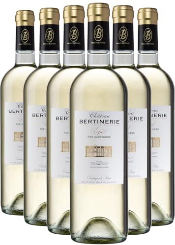 Generico Château Bertinerie Esprit Pur Sauvignon bianco 2023 DOP Côtes de Bordeaux Blaye Bordeaux Francia Vitigni Sauvignon Blanc 6x75cl