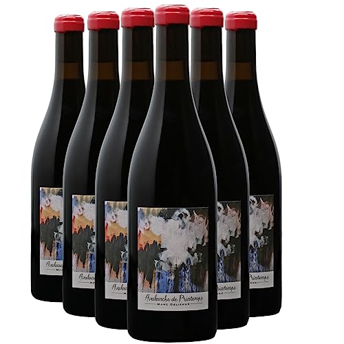 Generico Fleurie Avalanche de Printemps rosso 2021 Organico Marc Delienne DOP Beaujolais Francia Vitigni Gamay 12x75cl