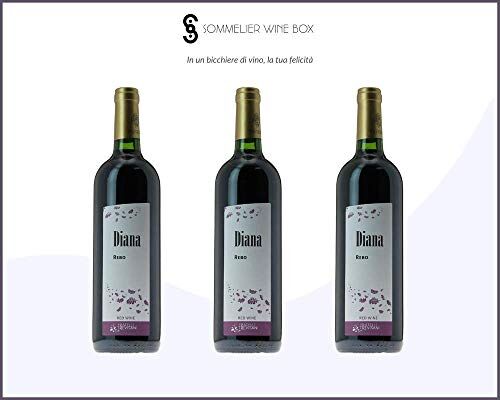 Sommelier Wine Box Diana REBO   Cantina Trevisani   Annata 2013