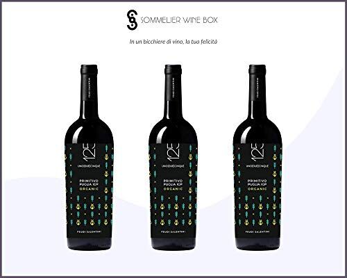 Sommelier Wine Box PRIMITIVO PUGLIA 125 BIO   Cantina Feudi Salentini   Annata 2017