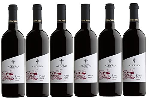 Cantina Aldeno Confezione 6 bottiglie PINOT NERO Bio Vegan   Vino Rosso Trentino DOC    Linea Bio Vegan (Pinot Nero)