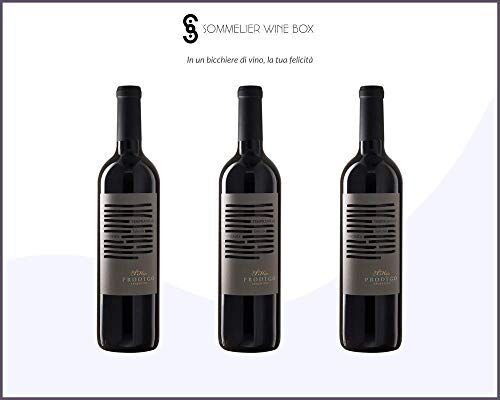 Sommelier Wine Box TEMPRANILLO Seleccion La Consulta   Cantina El Hijo Prodigo   Annata 2019