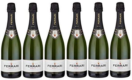 Acer Ferrari Brut Trentodoc [ 6 Bottiglie da 750ml ]