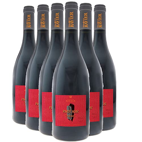 Generico Vin de Savoie Pinot Noir La Bigarel rosso 2023 Philippe et Sylvain Ravier DOP Savoia Francia Vitigni Pinot Noir 12x75cl